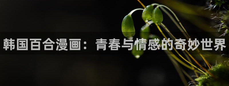 55漫画网51漫画：韩国百合漫画：青春与情感的奇妙世界