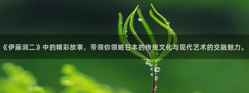 51漫画漫画免费全集：《伊藤润二》中的精彩故事，带领你领略日本的传统文化与现代艺术的交融魅力。